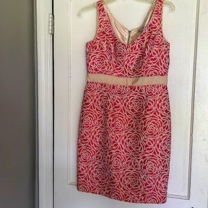 Rose and Tan Dress